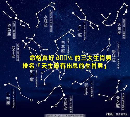 命格真好 🐼 的三大生肖男排名「天生最有出息的生肖男」